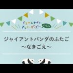 音でめぐる上野動物園-07：ジャイアントパンダのふたご～なきごえ～(YouTube)