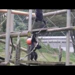 デッキーをからかうフブキ:多摩動物公園(YouTube)