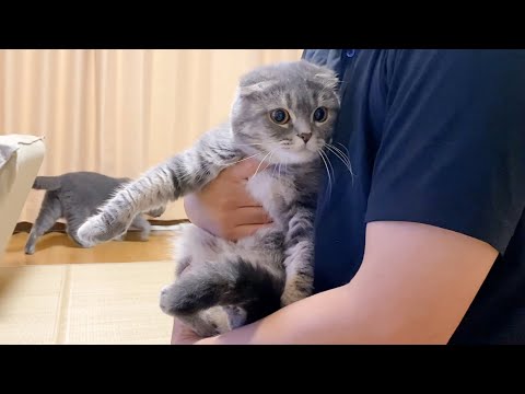 お母さんは辞めました！(YouTube)