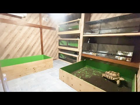実はまだ見せてない部屋と仲間達を紹介します！(YouTube)