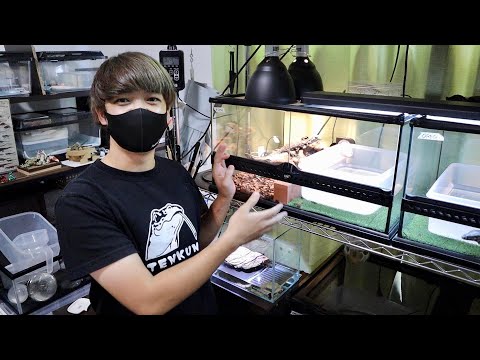 旅立った子に会いに行くと・・・(YouTube)