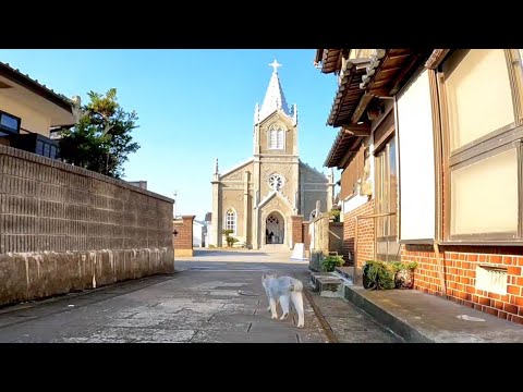 隠れキリシタン猫(YouTube)