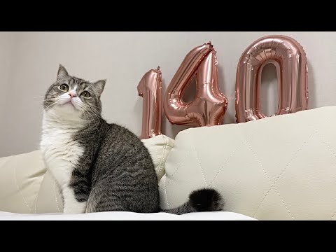 【祝】140万人突破ライブ配信！(YouTube)