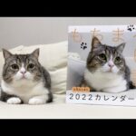 【ご報告】もち様が日本全国の書店に進出します！(YouTube)