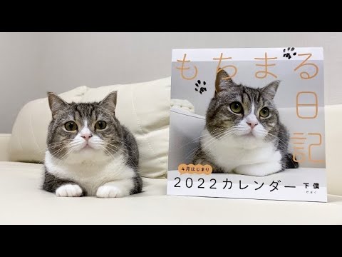 【ご報告】もち様が日本全国の書店に進出します！(YouTube)