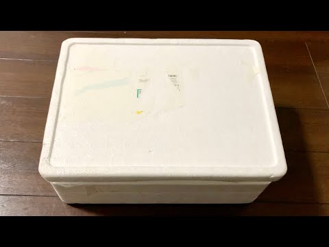 視聴者さんから頂いた高級食材をオオトカゲ達に与えていく！(YouTube)