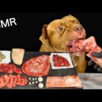 【肉テロASMR】最強のアゴで牛の骨を噛み砕くピットブルの咀嚼音が心地よすぎる(YouTube)