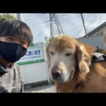ハロ、余命宣告こえました！(YouTube)