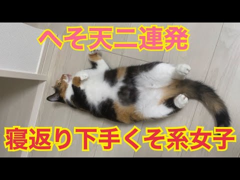 寝返りが下手なのかへそ天で止まっちゃう猫がかわいい！#shorts(YouTube)