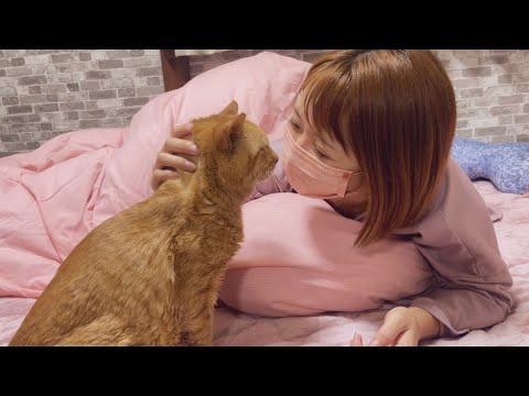 愛猫の健康の為にできる事(YouTube)