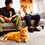 芸能事務所で暮らす猫がニャンと初の写真集を発売！『さらば青春の光の会長はねこである』(ブログ)