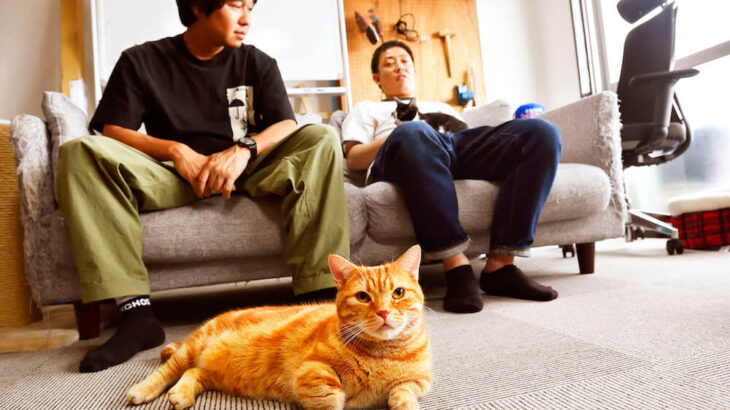 芸能事務所で暮らす猫がニャンと初の写真集を発売！『さらば青春の光の会長はねこである』(ブログ)
