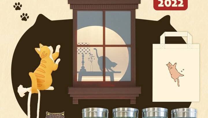 気分が上がりそうな猫雑貨を6点を詰め合わせた「ねこまみれ福袋」今年もヴィレヴァンから登場(ブログ)