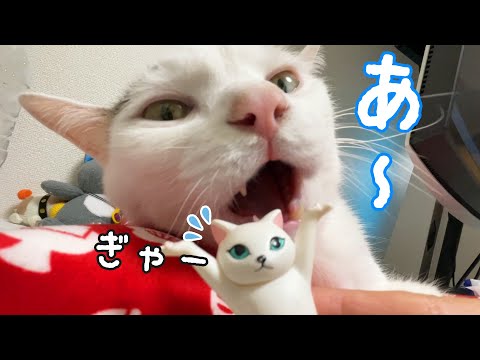 進撃のチロさんが現れました！(YouTube)