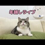 もち様ライブ配信・続き(YouTube)