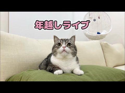 もち様ライブ配信・続き(YouTube)