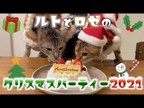 今年のクリスマスはホールケーキでお祝い🎂🎄(YouTube)