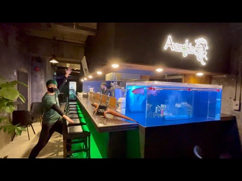明日オープン！爬虫類ショップ＆バル完全公開【Axanthic静岡本店】(YouTube)