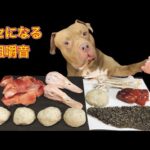 【閲覧注意ASMR】生肉を食べまくる犬の咀嚼音が心地良すぎる(YouTube)