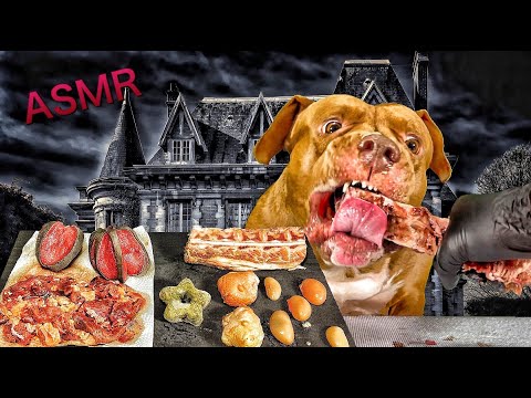 【犬のASMR】幽霊も逃げるピットブルの咀嚼音が衝撃すぎるw(YouTube)