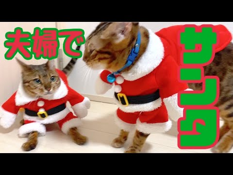 サンタコス(YouTube)