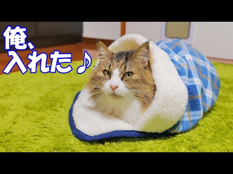 ダイソーからついに大型猫のボス吉でも入れる大きめのペット用寝袋が出た！(YouTube)