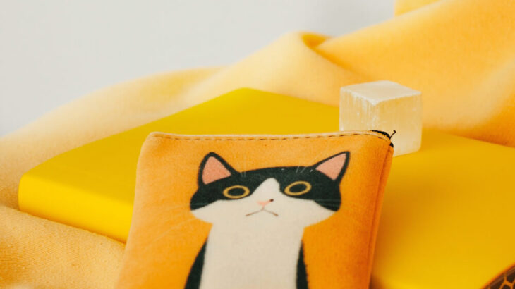 卵の黄身がニャンと猫の目に…！ねこ型の目玉焼きが作れる「エッグ モールド キャット」(ブログ)