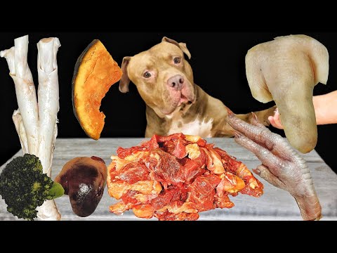 珍しい食材をバクバク食べるピットブルの咀嚼音がヤバすぎる【閲覧注意ASMR】(YouTube)