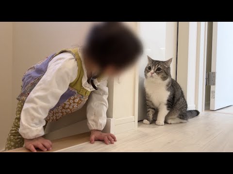 生まれて初めて子供と対面したら猫がこうなっちゃいました…笑(YouTube)