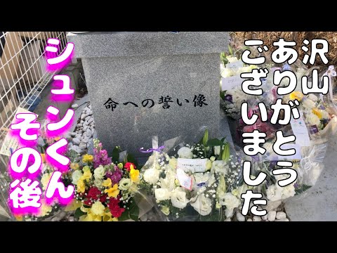 課長くんに頂いたお花 慰霊碑にお供えさせて頂きました　シュンくんその後、、、(YouTube)