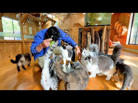 動物園の体重測定はカオスですｗｗ(YouTube)