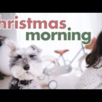 【幸せなクリスマス】3歳娘が寝ているうちにサンタクロースのお手伝いを【シュナウザージジトト】(YouTube)