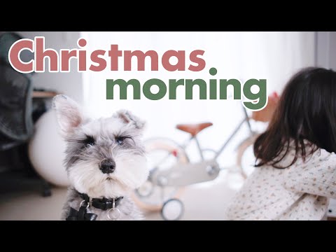 【幸せなクリスマス】3歳娘が寝ているうちにサンタクロースのお手伝いを【シュナウザージジトト】(YouTube)