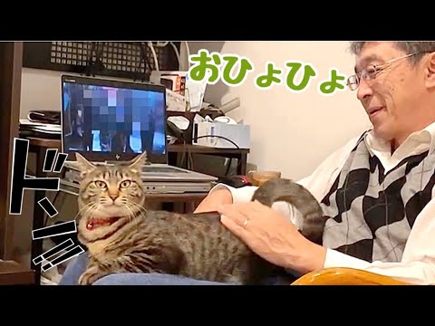 念願の愛猫が『膝乗り』してくれてオジサン感激っ！(YouTube)