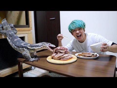 2kgのステーキをオオトカゲと一緒に食べてみると…！！(YouTube)