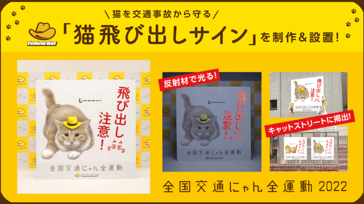 猫の交通事故を減らす取り組み！イエローハットが京大監修のもと開発した「猫飛び出しサイン」を公開(ブログ)