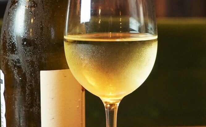 ポルトガル産の猫ワインから飲みきりサイズの缶タイプが登場！寄付つきの猫にも優しいワインにゃ(ブログ)