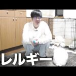 動物アレルギーになったようなので病院に行ってきた結果(YouTube)