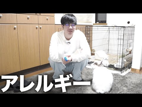 動物アレルギーになったようなので病院に行ってきた結果(YouTube)
