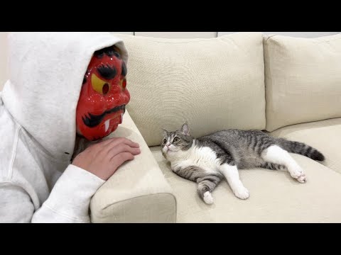 夜中にいきなり鬼が遊びにきたら猫がこうなりましたwww(YouTube)