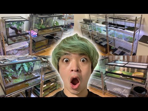 150匹の生き物を飼育するYouTuberのお宅に訪問してみると・・・(YouTube)