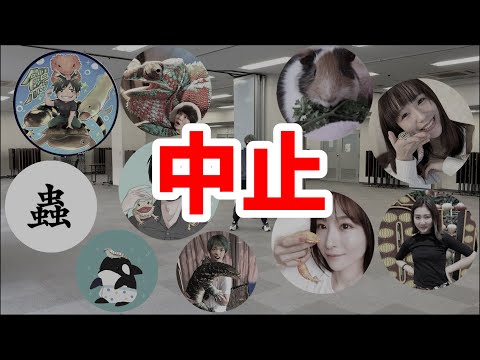 爬虫類YouTuber&用品即売会について(YouTube)