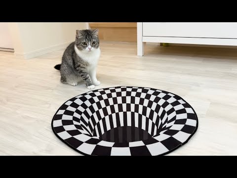 床にトリックアートを置いたら猫の反応がマジで天才すぎました…(YouTube)