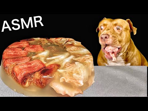 【閲覧注意ASMR】手作り肉ケーキを爆食いするピットブルが可愛すぎる(YouTube)