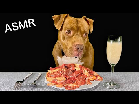 レストランで骨と肉を豪快に食べるピットブルの咀嚼音がクセになる【ASMR】(YouTube)