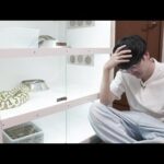 過去最悪なことが起きました(YouTube)