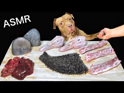 【閲覧注意】家鴨の頭を丸ごと食べるピットブルの咀嚼音(YouTube)