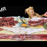 【脳がとろけるASMR】ピットブルの咀嚼音が気持ち良すぎる(YouTube)