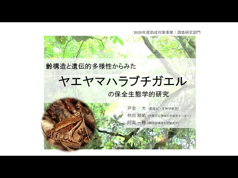 齢構造と遺伝的多様性からみたヤエヤマハラブチガエルの保全生態学的研究（戸金 大 氏・秋田耕佑 氏・阿南一穂 氏、2020年度助成）：東京動物園協会野生生物保全基金 2021年度成果報告会(YouTube)