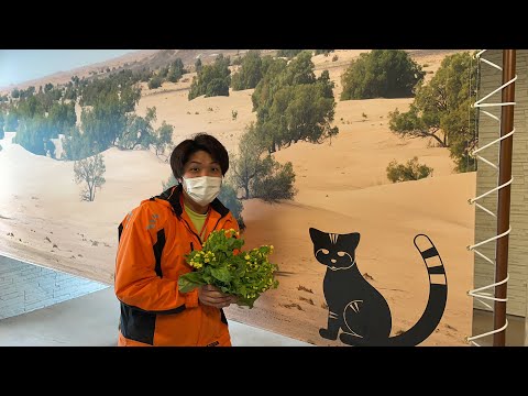 動物たちに菜の花ライブ(YouTube)